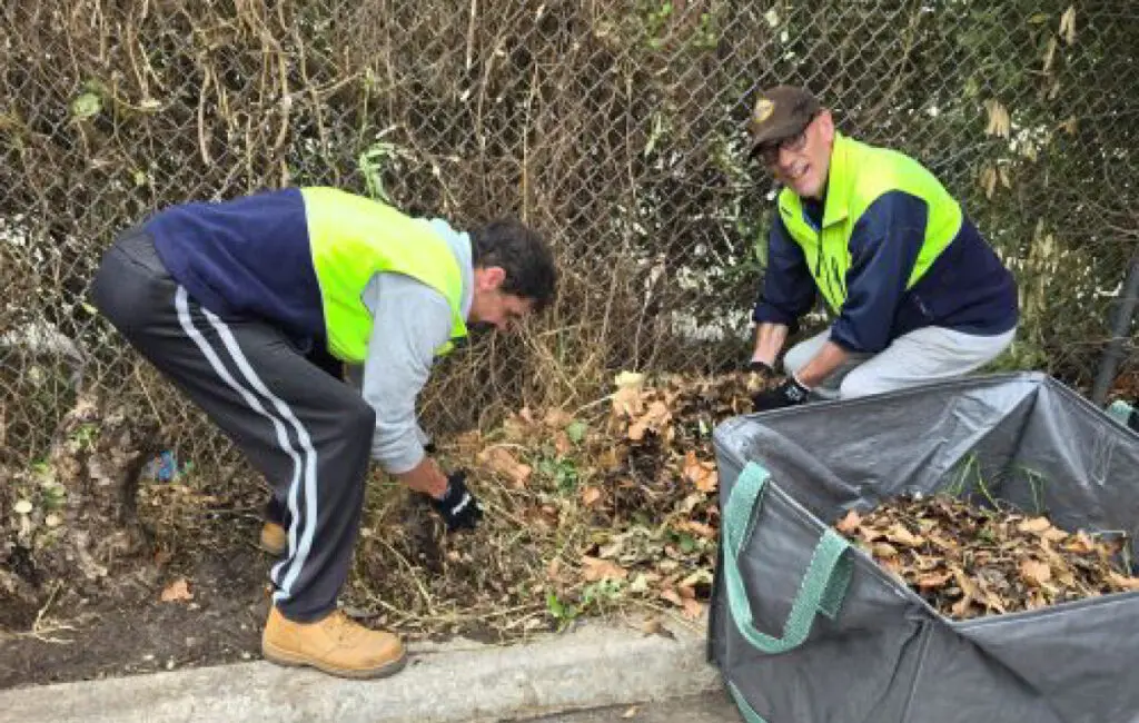 Two men in high-vis vests clear leaves and weeds from a fence line into a garden waste bag.